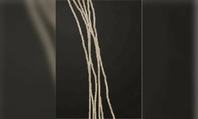 Ковер Sartori Cretto