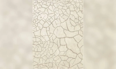 Ковер Sartori Cretto