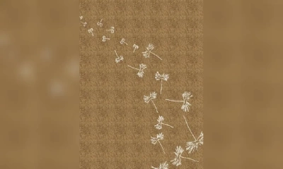 Ковер Sartori Accademia