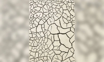 Ковер Sartori Cretto