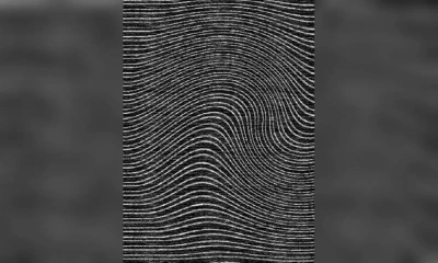 Ковер Sartori C Pesaro