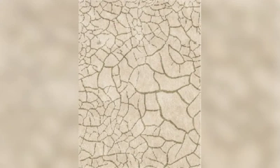 Ковер Sartori Cretto