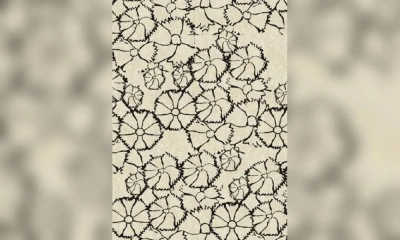 Ковер Sartori Accademia