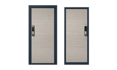 Дверь входная Portalle Electra Biometric