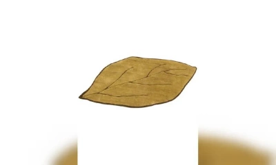 Ковер Sartori Rio