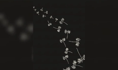 Ковер Sartori Accademia