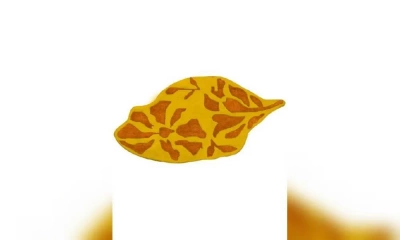 Ковер Sartori Rio