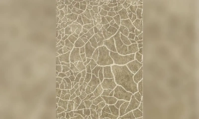 Ковер Sartori Cretto