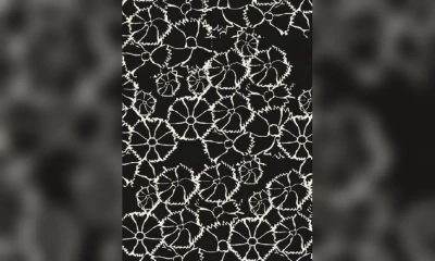 Ковер Sartori Accademia