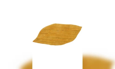 Ковер Sartori Rio