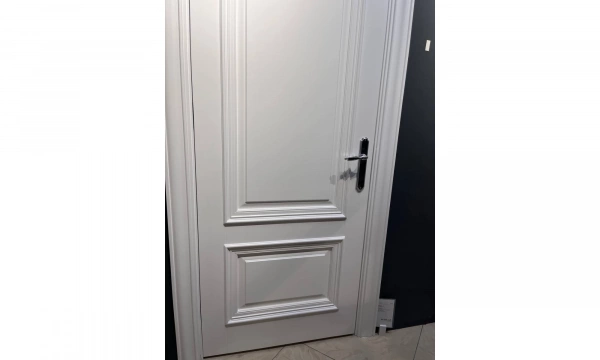 Дверь Астродорс Прима-1