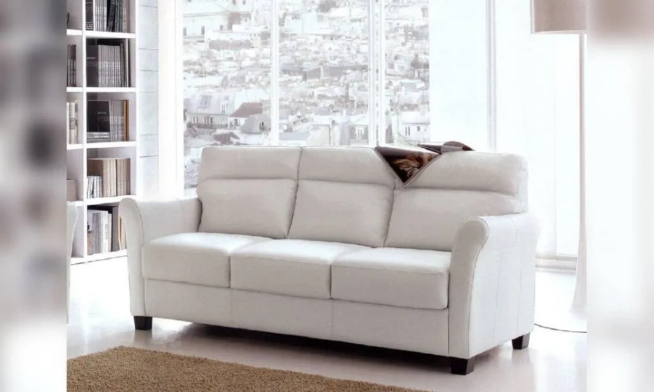 Диван Nicoline Salotti Petit - фото 1