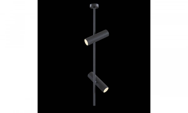 Потолочный Светильник Technical C021Cl-02B