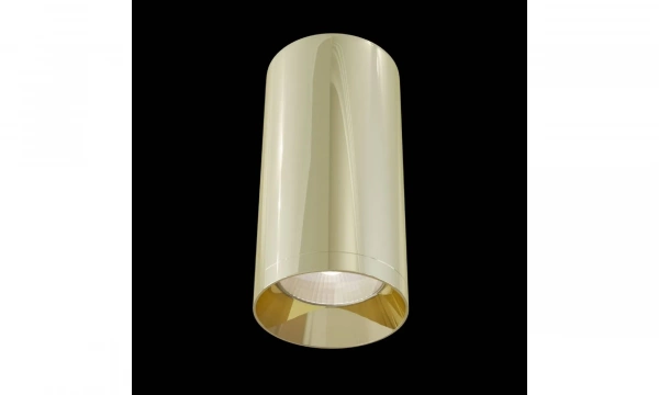 Потолочный Светильник Technical C010Cl-01G