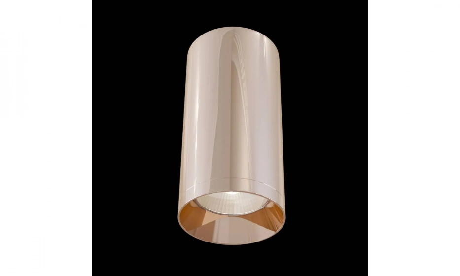 Потолочный Светильник Technical C010Cl-01Rg - фото 3