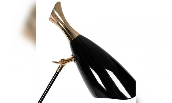 Торшер Delightfull Duke