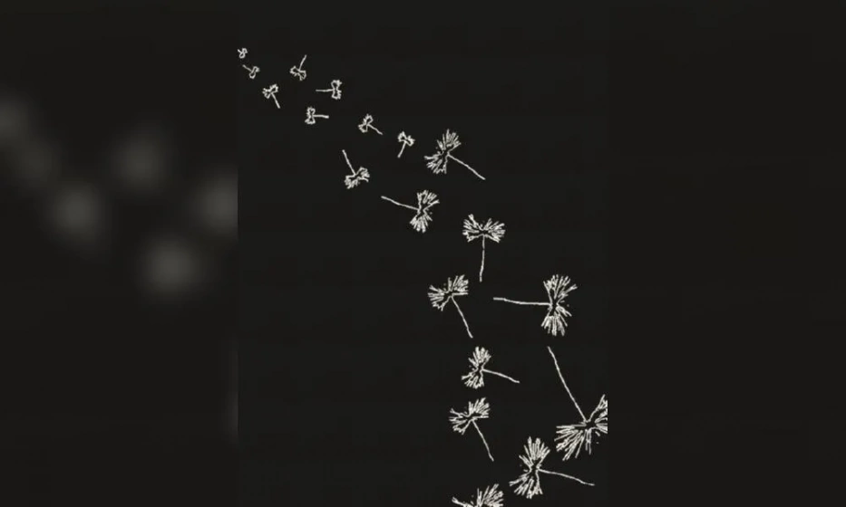 Ковер Sartori Accademia - фото 1