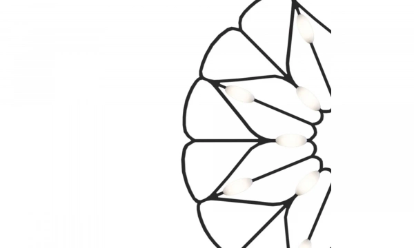 Подвесной Светильник Technical Mod037Pl-L16B