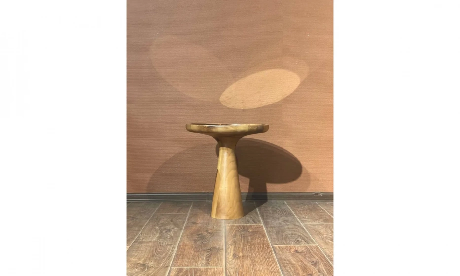 Кофейный столик низкий Homage Wood - фото 2