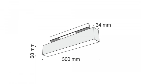 Трековый Светильник Technical Tr012-2-12W4K-B