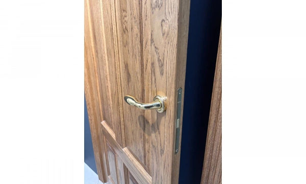 Дверь Астродорс Софи