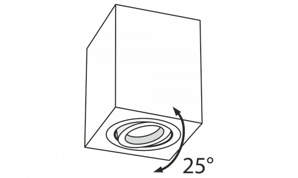 Потолочный Светильник Technical C017Cl-01W