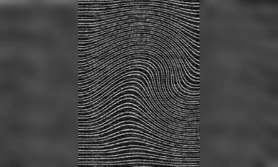 Ковер Sartori C Pesaro - фото 1