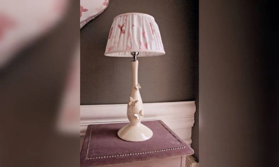 Настольная Лампа Dolfi Bs25 - фото 1